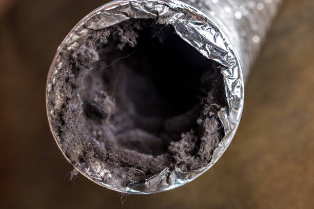 Best Home Air Vent Cleaning  in Paxton, IL