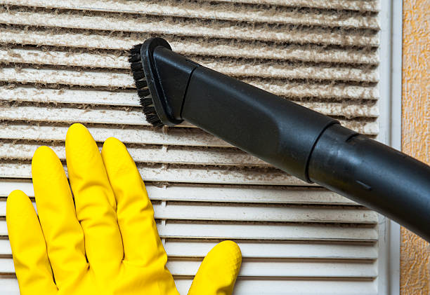 Best Dryer Vent Cleaning Services  in Paxton, IL